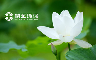 瀘州樹(shù)派環(huán)?？萍加邢薰?/></p>
                    <p class=